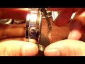 (uploaded by HerbalRemedies)&nbsp;Detailed HD close up size comparison 