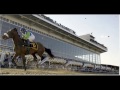 Barbaro-Never Too Late