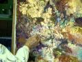 IMPRESSIONISTIC FLORAL PAINTING IN PROGRESS By MILLIE GIFT SMITH