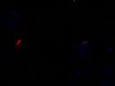 Mendez DnB liveact with grooveboxes,drummachines, laptop, keyboards, effects@ Panoptikum Dresden