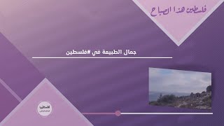جمال الطبيعة في #فلسطين .. في مسار من قرية اللبن الشرقية في #نابلس الى قرية خربة قيس في #سلفيت