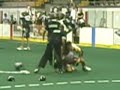 lacrosse fights, st regis indians vs. brampton senior A