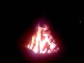 videos de kampvuur pivo kamp 2008