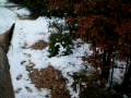 videos de encore la ballade ds la neige