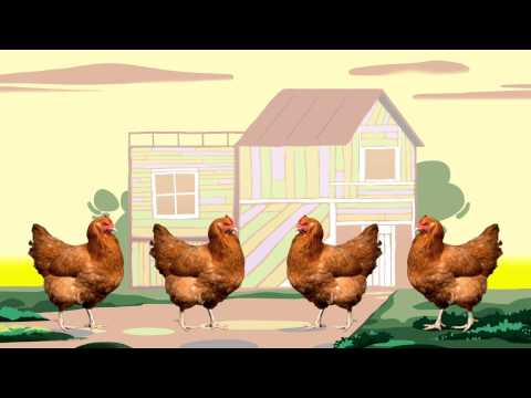 Chicken Bop