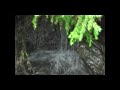 water bodies