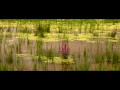 Jan 27, 2015: green farm foods integrated wetland