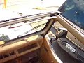 眠りイヌ動画