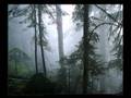 Blind Guardian - The Bard's Song - In the forest