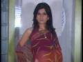 videos de Multicolour Pure Georgette Saree with Blouse