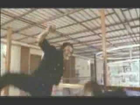 Mortal combat - cynthia rothrock y michelle yeoh