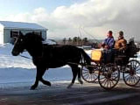 how to hitch a horse to a cart