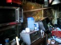 Rescuing a raccoon from horrible conditions, Animal Advocates, Mary Cummins