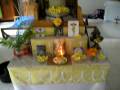 videos de flower mandala
