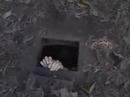 Cu Chi Tunnels