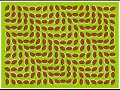 Optical ILLusion Optical ILLusion