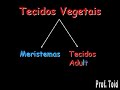 Biologia: Bot�nica - Histologia Vegetal 01a (Prof. Toid)