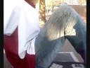 Kevan et C�dric font du skate