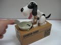 Crazy Dog Piggy Bank