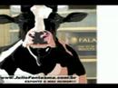 fala-que-eu-te-insulto-2.html