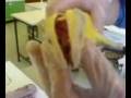 Why Phones Were Banned In Biology Part 2