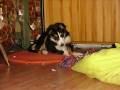 Jix zu Besuch