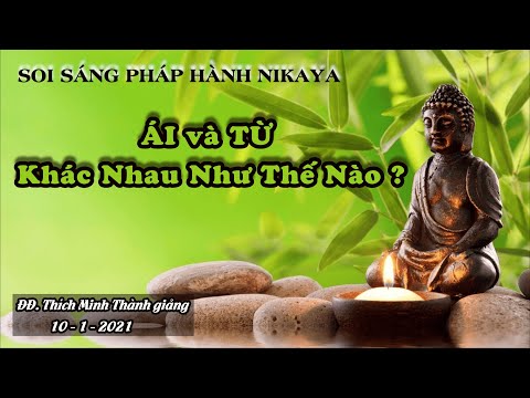 SOI SÁNG PHÁP HÀNH NIKAYA _ ÁI và TỪ Khác Nhau Như Thế Nào ?