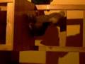 videos de Interrogatorio MDI