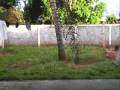 videos de Voadeira do victor.wmv
