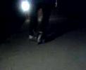 showin wat i can do on roller blades brappp
