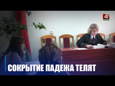 У Гомельскім раёне адбылося выязное судовае пасяджэнне па факце ўтойвання склону цялят видео