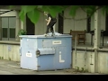 Swedish skateboarding: Jesper Lundstrom, Decay