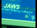 Jaws version 10 screen reader