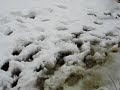 how-not-to-drive-in-snow.html
