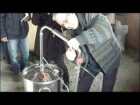 how to isolate chlorophyll b