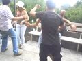 geologia perreo mechoneo 2008