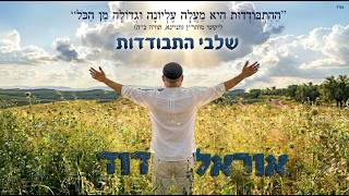 הזמר אוראל דוד - סינגל חדש - שלבי התבודדות 