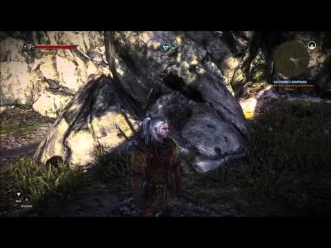 The Witcher 2 : Assassins of Kings