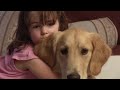 Norcal Golden Retriever Rescue