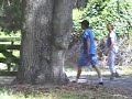rescue horses on st  simons island georgia