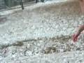 Playing Shirtless in Snow