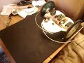 robot de cds