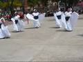 Vaile jarocho y jalisiense