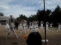 white alligator cheerdance in ssa-t