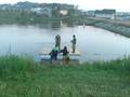 The Raft
