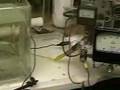 Hydrogen Tap 1( 40 volt Test) #42