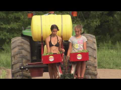 Maryland Farm Couple Sells Produce Locally - America's Heartland