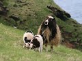 Iceland Travel Log