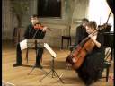 Mendelssohn Piano Trio No.1 in D minor Op.49 - Part1