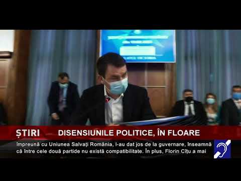 Disensiunile politice, în floare